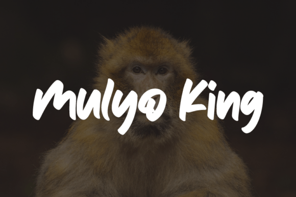 Mulyo King: A Bold Choice for Web Design